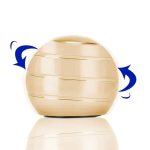 Bola Giroscopio