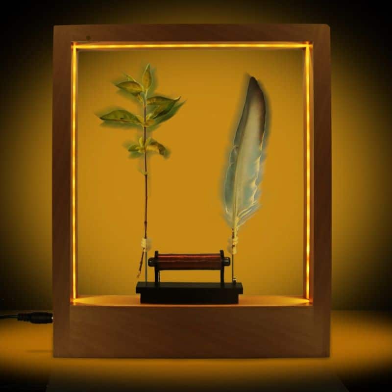 cadre-slow-motion-1 Marco Slow Motion – Image 1