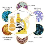 Microscopio de Juguete – Image 2