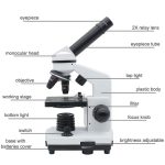 Microscopio Junior – Image 2