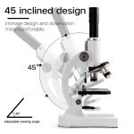 Microscopio para principiantes – Image 4