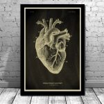 Póster de Anatomía del Cuerpo Humano