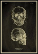 Póster de Anatomía del Cuerpo Humano – Image 10
