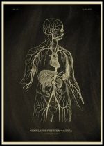 Póster de Anatomía del Cuerpo Humano – Image 14