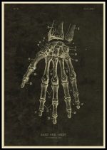 Póster de Anatomía del Cuerpo Humano – Image 2