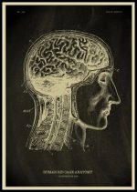 Póster de Anatomía del Cuerpo Humano – Image 3