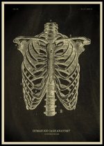 Póster de Anatomía del Cuerpo Humano – Image 4