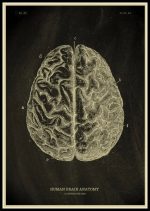 Póster de Anatomía del Cuerpo Humano – Image 5