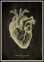 Póster de Anatomía del Cuerpo Humano – Image 6