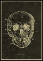 Póster de Anatomía del Cuerpo Humano – Image 9