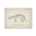 Póster Dinosaurios – Image 10
