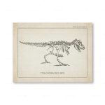 Póster Dinosaurios – Image 5