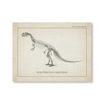 Póster Dinosaurios – Image 6