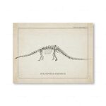 Póster Dinosaurios – Image 7