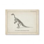 Póster Dinosaurios – Image 8