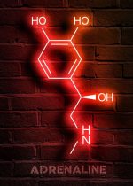 Póster Científico Molécula Química – Image 12