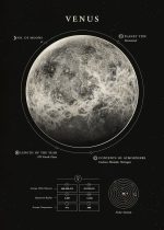 Póster Venus – Image 2