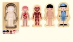 Juego de Anatomía Puzzle de Madera – Image 5