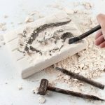 Kit de Excavación Arqueológica de Dinosaurios – Image 2