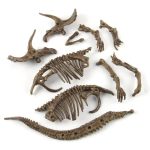 Kit de Excavación Arqueológica de Dinosaurios – Image 9