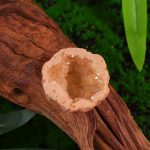 Mini Geoda de Cristal de Roca – Image 9