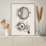 Póster Anatomía del Ojo