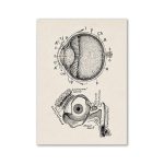 Póster Anatomía del Ojo – Image 2