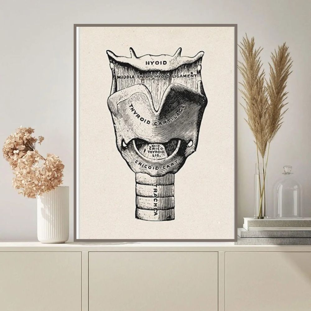 poster-anatomie-du-larynx-et-de-la-trachee-1 Póster de Anatomía de la Laringe y la Tráquea – Image 1