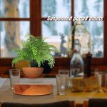 Maceta Zen de Levitación Magnética – Image 2