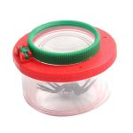 Caja de Insectos para Niños – Image 9