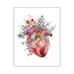 Ilustraciones de órganos del cuerpo humano