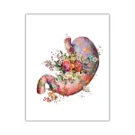 Ilustraciones de órganos del cuerpo humano – Image 6