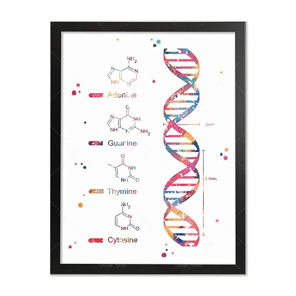poster-adn-1 Póster ADN – Image 1