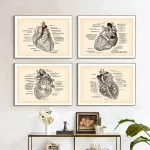 Póster anatomía del corazón – Image 3