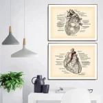 Póster anatomía del corazón – Image 4