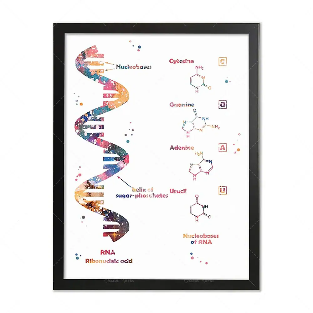poster-biologie-moleculaire-1 Póster de biología molecular – Image 1