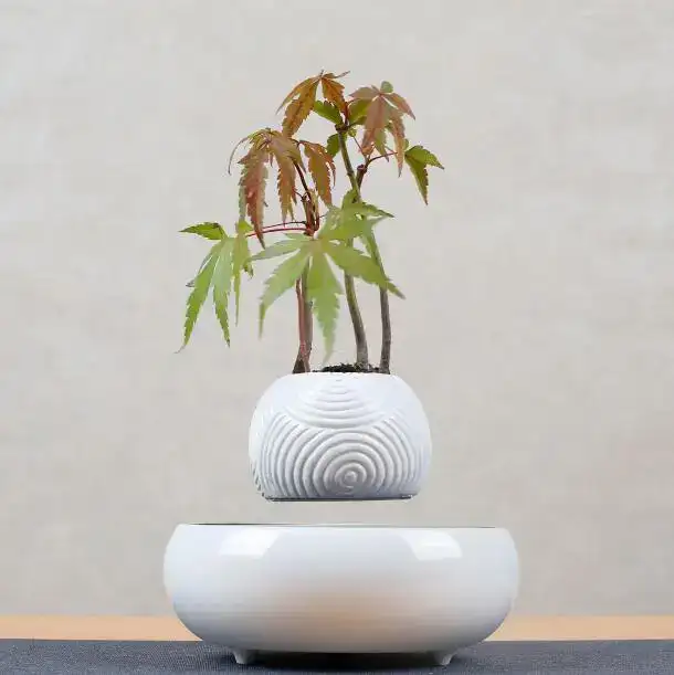 pot-de-fleur-en-levitation-chic-1 Vase blanc contenant un petit arbre d'érable avec des feuilles vertes et rouges, décoratif et inspiré de la nature.