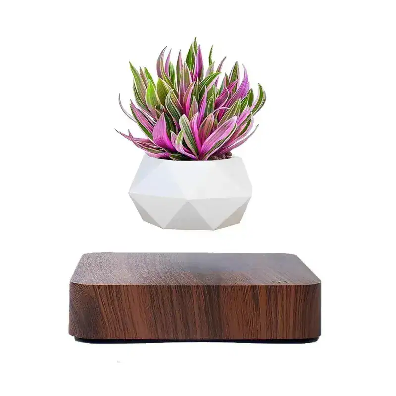 pot-de-fleur-en-levitation-magnetique-design-1 Pot de fleur flottant par lévitation magnétique avec plante décorative.