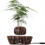 Plante verte en pot décoratif pour intérieur, inspirée par un style scientifique et moderne. Parfait pour ajouter une touche naturelle à votre espace de vie ou de travail.