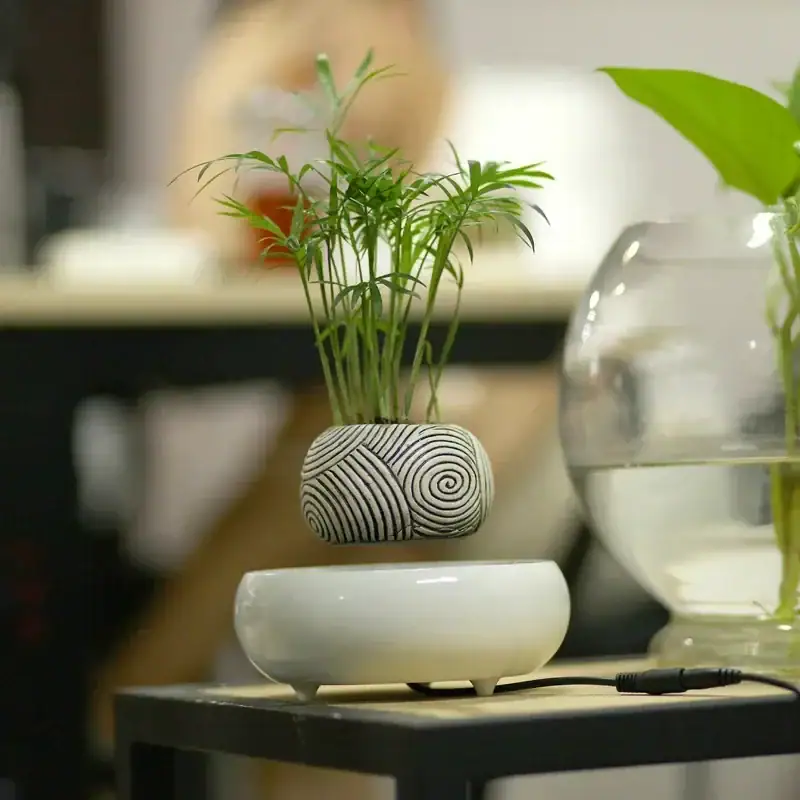 pot-de-plante-magnetique-deco-1 Petite plante verte dans un vase en forme de spirale avec motif géométrique, idéale pour la décoration scientifique ou moderne.