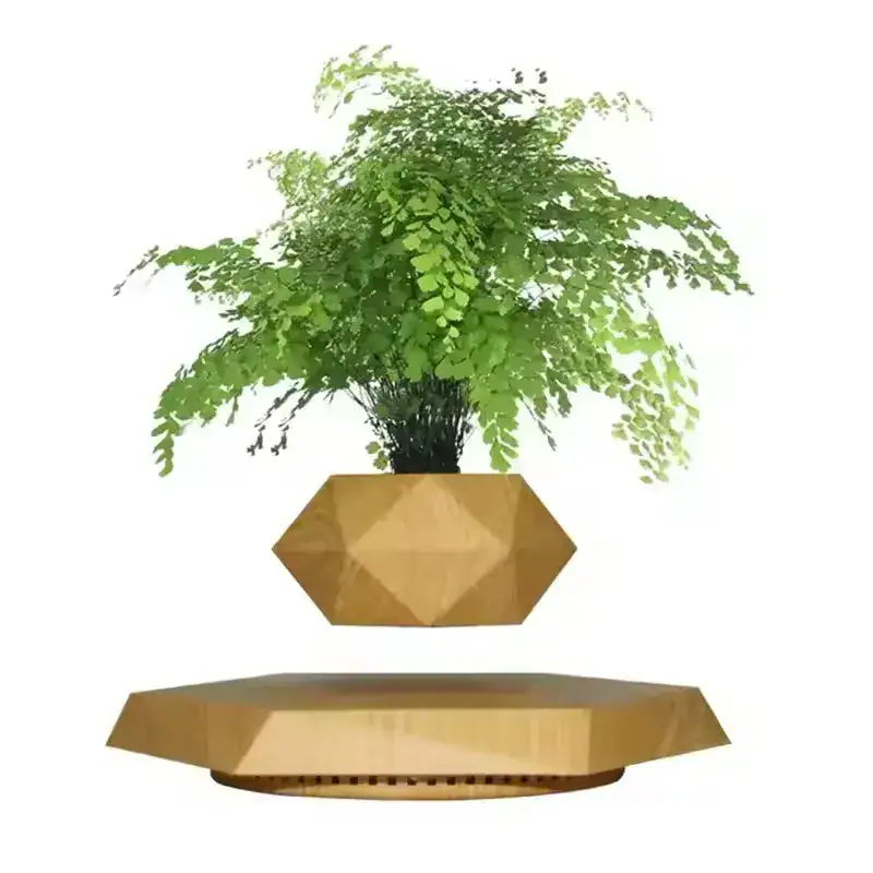 vase-de-plante-en-levitation-bois-1 Vase flottant en bois avec plante verte en lévitation, décoration moderne et originale.