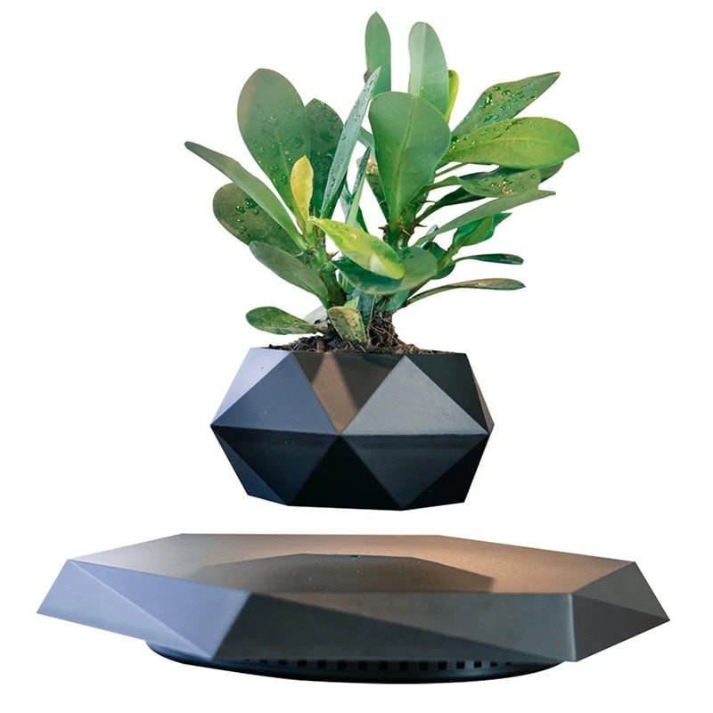 vase-de-plante-magnetique-noir-en-levitation-1 Pot de plante géométrique en céramique noire avec une plante verte, décoration moderne et élégante pour intérieur ou bureau.