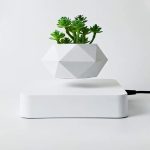 Vase moderne en forme géométrique avec des succulentes vertes, idéal pour la décoration intérieure scientifique et élégante.