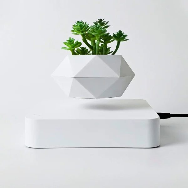 Vase moderne en forme géométrique avec des succulentes vertes, idéal pour la décoration intérieure scientifique et élégante.