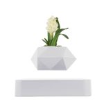 Vase géométrique blanc avec fleur blanche et feuilles vertes, décoration moderne et élégante.