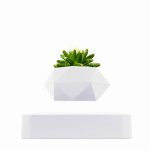 Vase moderne en forme géométrique avec plante succulente verte, parfait pour la décoration intérieure ou de bureau.