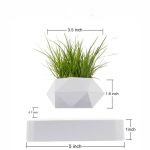 Petite plante verte en pot géométrique blanc, idéale pour la décoration intérieure ou de bureau, apportant une touche de nature moderne.