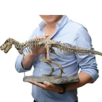Modèle de squelette de Tyrannosaure rex pour décoration scientifique ou éducative, présenté par un collectionneur ou un musée.