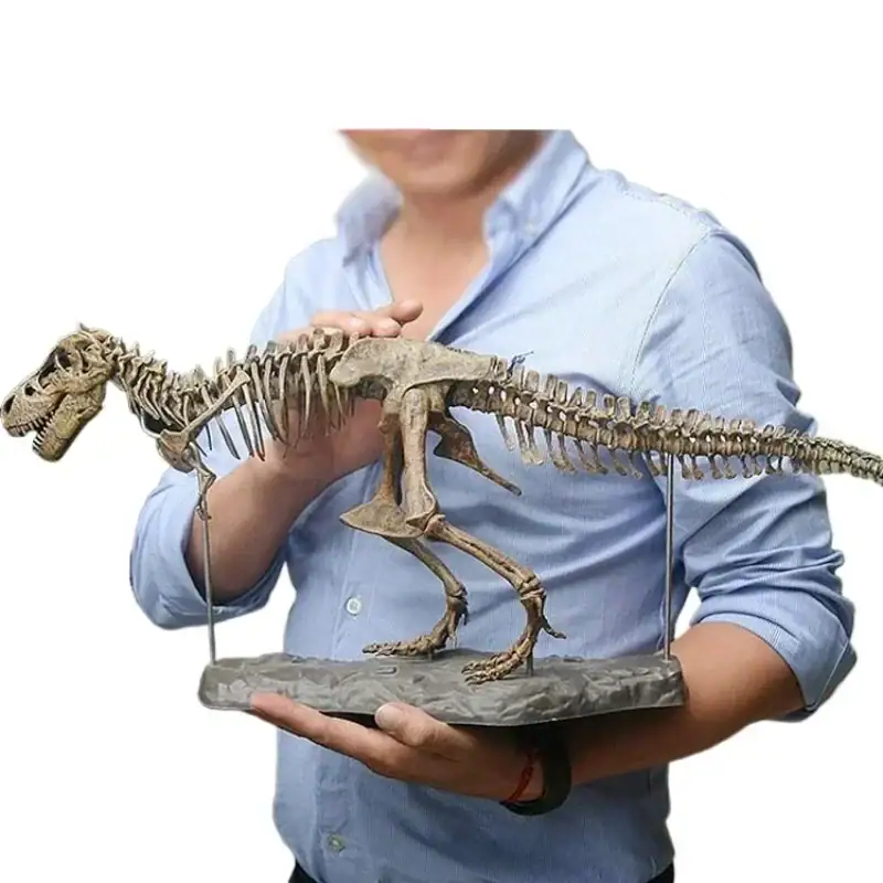 dinosaure-a-construire-1 Modèle de squelette de Tyrannosaure rex pour décoration scientifique ou éducative, présenté par un collectionneur ou un musée.
