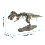 Représentation d'un squelette de T-Rex en ossements fossilisés, mesurant 70 cm de long, 22 cm de haut et 12 cm de large, idéal pour la décoration scientifique.